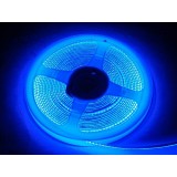 LED juosta COB 12V 12W/m nehermetiška IP20 mėlyna (blue) 1m